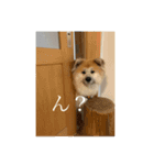 オバラ家（個別スタンプ：7）