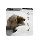 オバラ家（個別スタンプ：8）