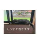 オバラ家（個別スタンプ：12）