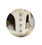 オバラ家（個別スタンプ：13）