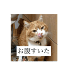 オバラ家（個別スタンプ：14）