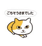 猫っちゅ【敬語編】（個別スタンプ：17）