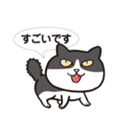 猫っちゅ【敬語編】（個別スタンプ：31）