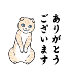 ねこちゃんいっぱい7 敬語毛筆（個別スタンプ：3）