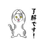 ねこちゃんいっぱい7 敬語毛筆（個別スタンプ：6）