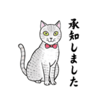 ねこちゃんいっぱい7 敬語毛筆（個別スタンプ：8）