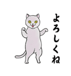 ねこちゃんいっぱい7 敬語毛筆（個別スタンプ：9）