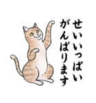 ねこちゃんいっぱい7 敬語毛筆（個別スタンプ：13）