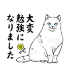 ねこちゃんいっぱい7 敬語毛筆（個別スタンプ：15）