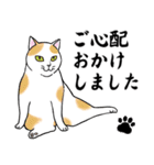 ねこちゃんいっぱい7 敬語毛筆（個別スタンプ：24）