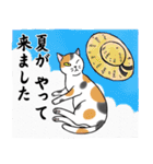 ねこちゃんいっぱい7 敬語毛筆（個別スタンプ：27）