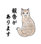 ねこちゃんいっぱい7 敬語毛筆（個別スタンプ：33）