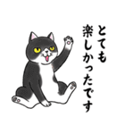 ねこちゃんいっぱい7 敬語毛筆（個別スタンプ：36）