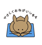 家のうさぎ1（個別スタンプ：1）