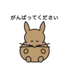 家のうさぎ1（個別スタンプ：4）