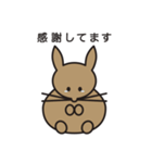 家のうさぎ1（個別スタンプ：7）