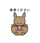 家のうさぎ1（個別スタンプ：21）