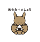 家のうさぎ1（個別スタンプ：40）