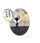 としぞーのにっこりスタンプ（個別スタンプ：13）