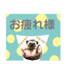 ハリネズミ うぶぅの色々使えるスタンプ1（個別スタンプ：4）