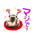 ハリネズミ うぶぅの色々使えるスタンプ1（個別スタンプ：14）