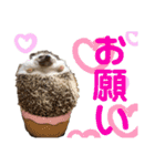 ハリネズミ うぶぅの色々使えるスタンプ1（個別スタンプ：17）