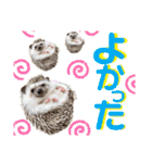 ハリネズミ うぶぅの色々使えるスタンプ1（個別スタンプ：18）