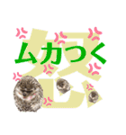 ハリネズミ うぶぅの色々使えるスタンプ1（個別スタンプ：22）