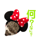 ハリネズミ うぶぅの色々使えるスタンプ1（個別スタンプ：28）