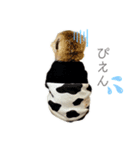 meerkat♡toto（個別スタンプ：5）