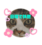 ナナエモン④夏っぽい（個別スタンプ：5）