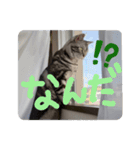 おもちのすたんぷ1（個別スタンプ：2）