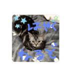 おもちのすたんぷ1（個別スタンプ：3）