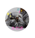 おもちのすたんぷ1（個別スタンプ：6）