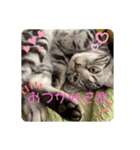 おもちのすたんぷ1（個別スタンプ：7）