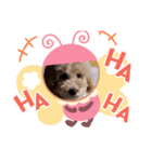 ボブだよ（個別スタンプ：5）