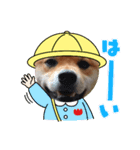 ごんざえもんスタンプ①（個別スタンプ：5）
