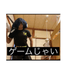 留年オールスターズ  改（個別スタンプ：8）