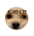 ころも日記 #飲み編（個別スタンプ：4）