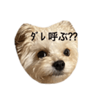 ころも日記 #飲み編（個別スタンプ：5）