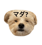 ころも日記 #飲み編（個別スタンプ：7）