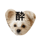 ころも日記 #飲み編（個別スタンプ：9）
