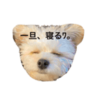 ころも日記 #飲み編（個別スタンプ：10）