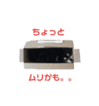 まゆげ系ポメラニアン❤️こっちゃん（個別スタンプ：14）