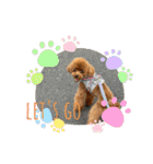 Tina＆Roy dog brothers（個別スタンプ：5）