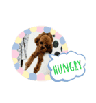 Tina＆Roy dog brothers（個別スタンプ：7）