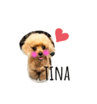Tina＆Roy dog brothers（個別スタンプ：11）
