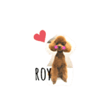 Tina＆Roy dog brothers（個別スタンプ：12）