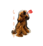 Tina＆Roy dog brothers（個別スタンプ：13）