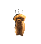 Tina＆Roy dog brothers（個別スタンプ：18）
